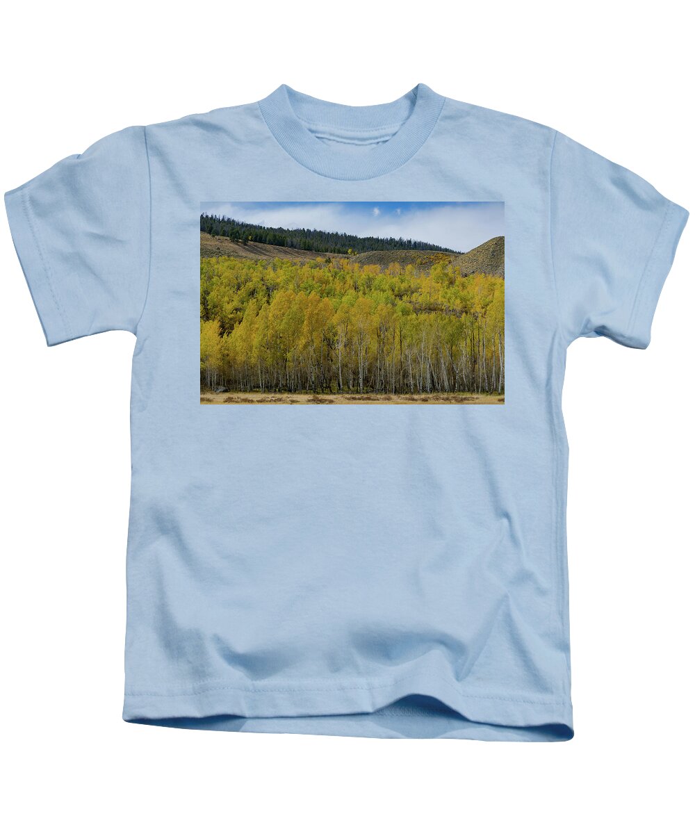 Fall Colors Kids T-Shirt featuring the photograph Aspen Trees with fall colors by Julieta Belmont