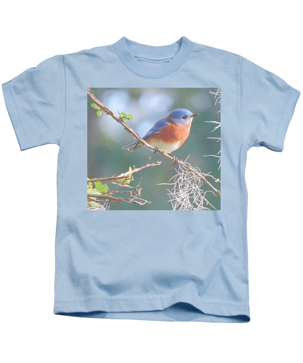 Bluebird Kids T-Shirt featuring the photograph Bluebird In Dixie by Tami Quigley