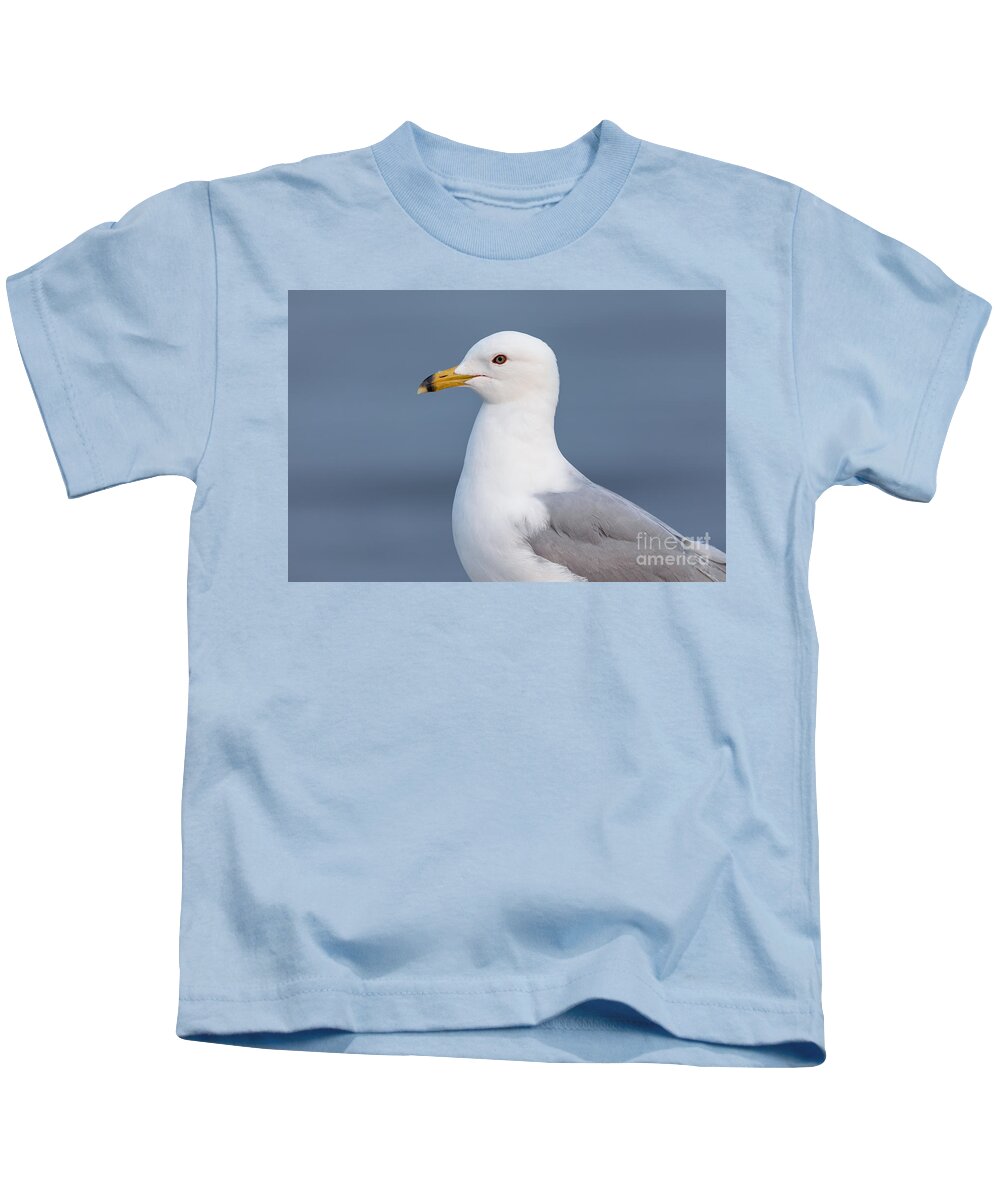 Photography Kids T-Shirt featuring the photograph Gull Portrait 1 by Alma Danison
