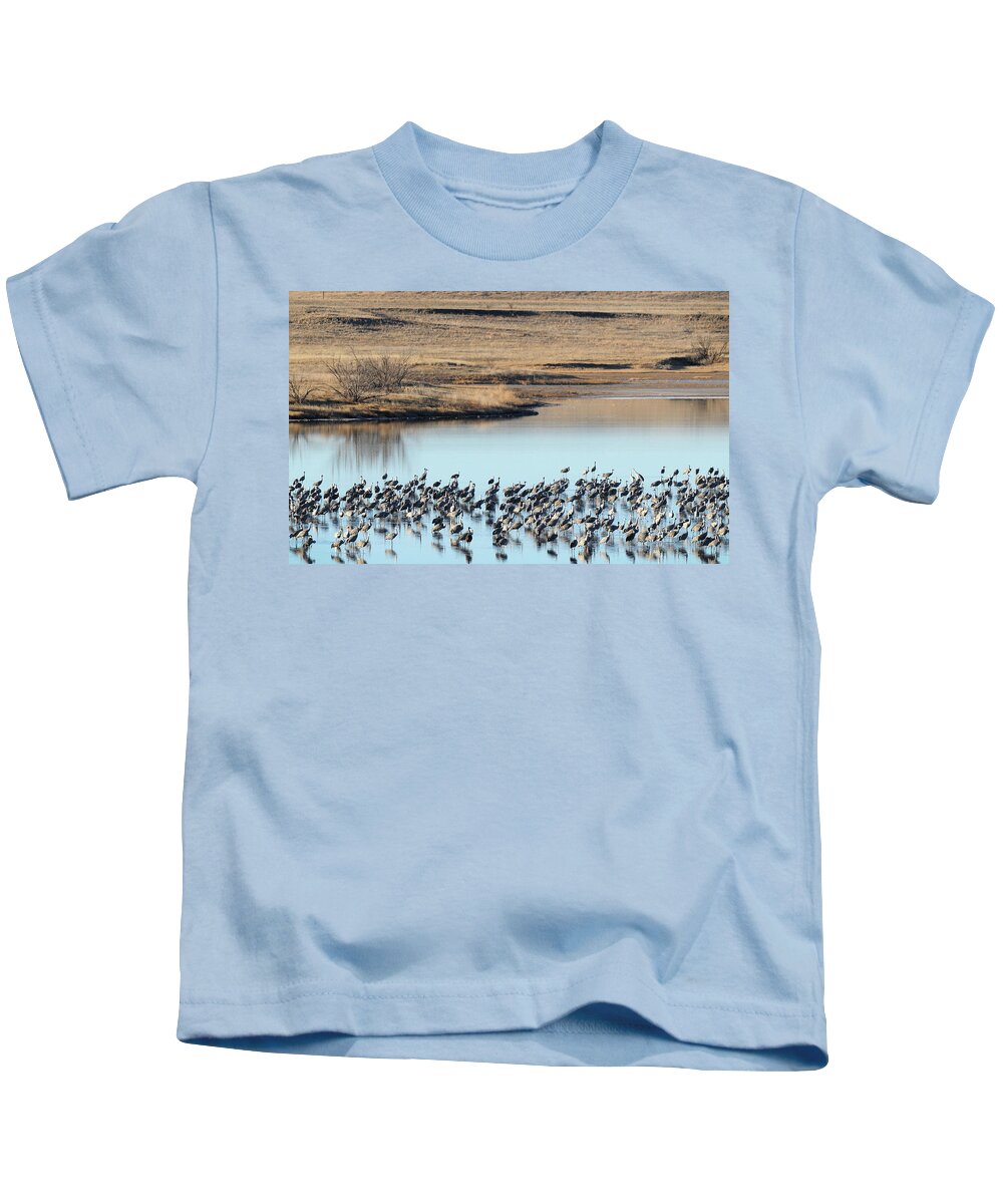 Richard E. Porter Kids T-Shirt featuring the photograph Sandhill Cranes - Muleshoe Wildlife Refuge, Texas by Richard Porter