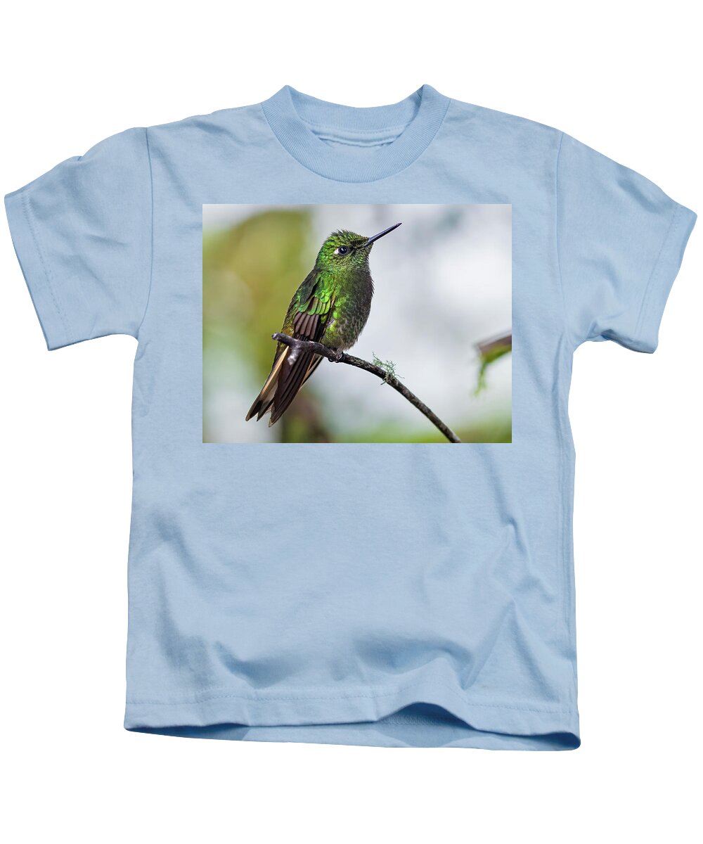 Animal In The Wild Kids T-Shirt featuring the photograph Buff-tailed Coronet humminbird by Henri Leduc