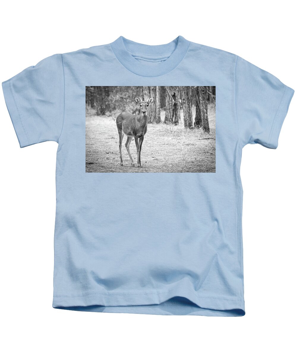 Deer Kids T-Shirt featuring the photograph Button Buck in Emerald Isle Woods Park by Bob Decker