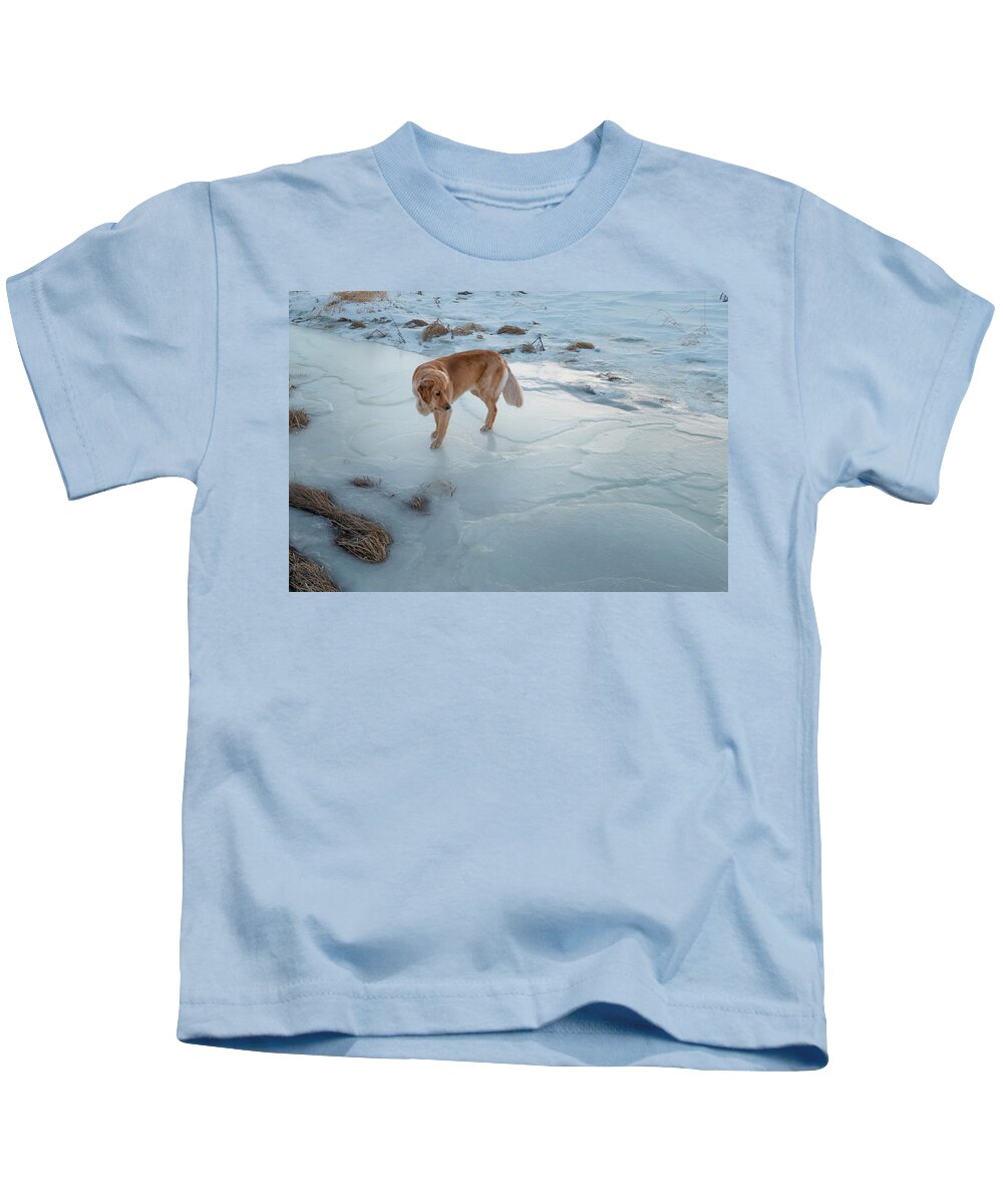Dog Kids T-Shirt featuring the photograph Dog Exploring An Icy Stream by Phil And Karen Rispin