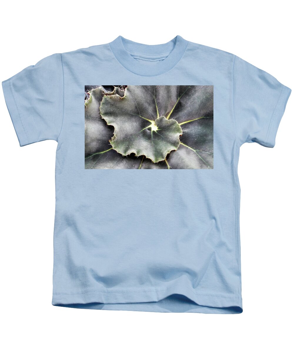Begonia Kids T-Shirt featuring the photograph Eyelash Begonia by Gary Slawsky