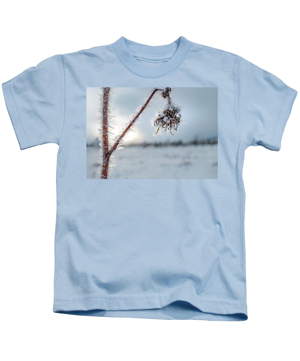 Frost Kids T-Shirt featuring the photograph Frost On A Winter Annual by Karen Rispin