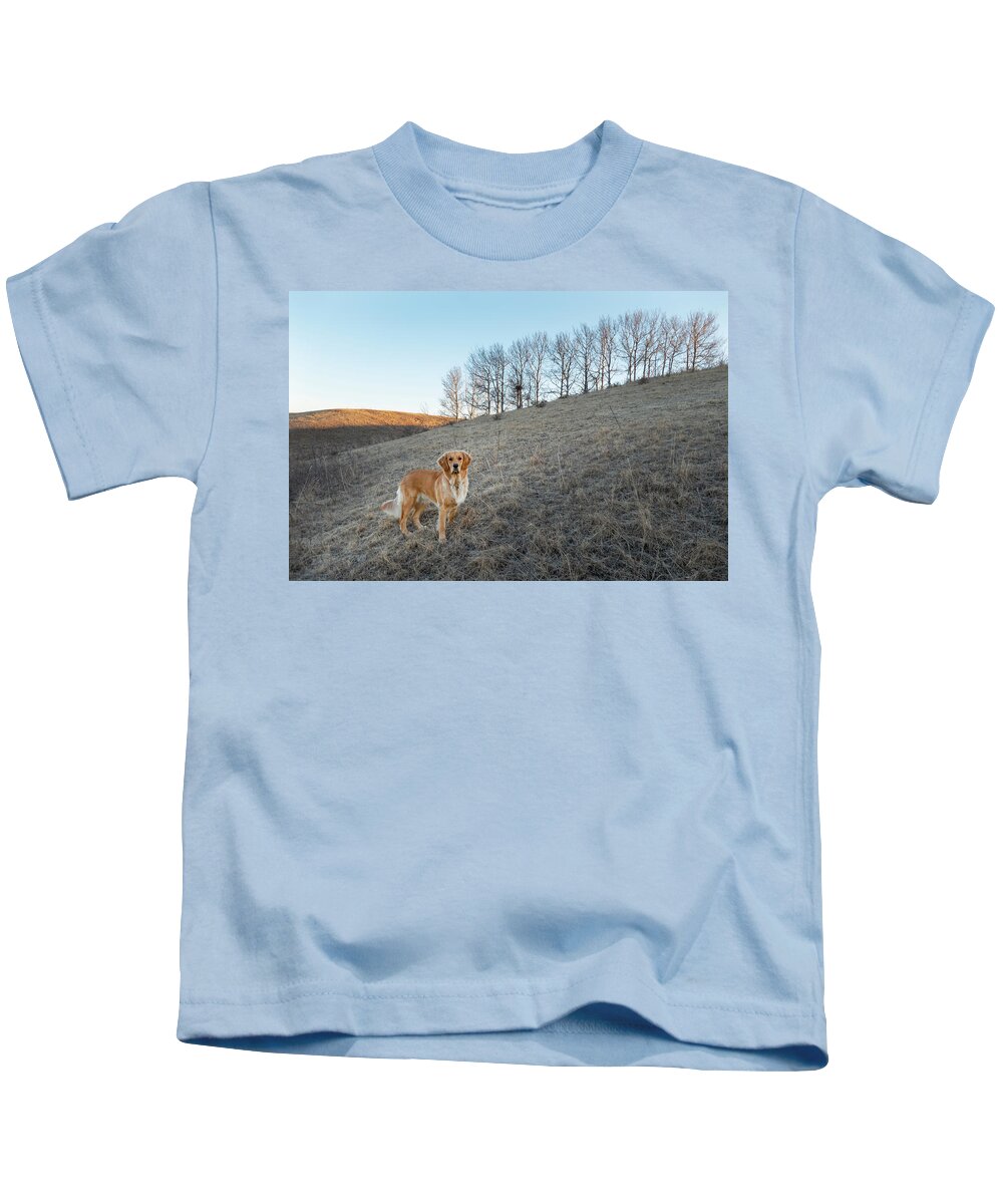Dog Kids T-Shirt featuring the photograph Golden Retriever On A Hill by Karen Rispin