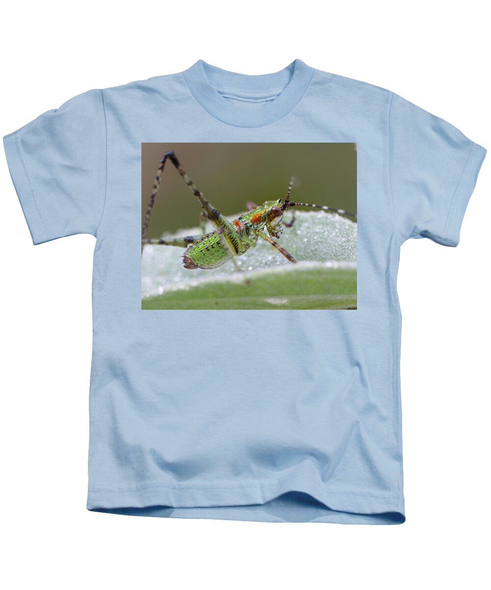 Grasshopper Kids T-Shirt featuring the photograph Katydid Nymph by Karen Rispin
