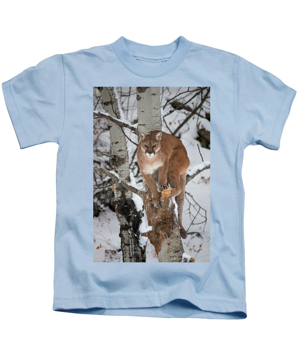 Animal Kids T-Shirt featuring the photograph Mountain Lion in a Tree by Teresa Wilson