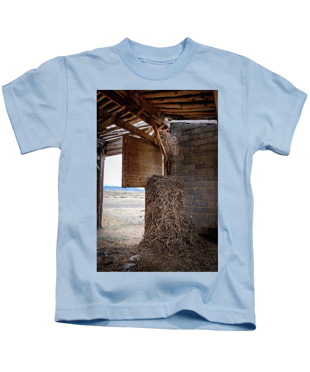 Colorado Kids T-Shirt featuring the photograph Nest of the Ancient Raven by Mary Lee Dereske