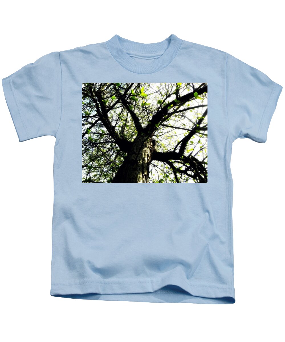 Leaves Kids T-Shirt featuring the photograph New Leaves by Amanda R Wright