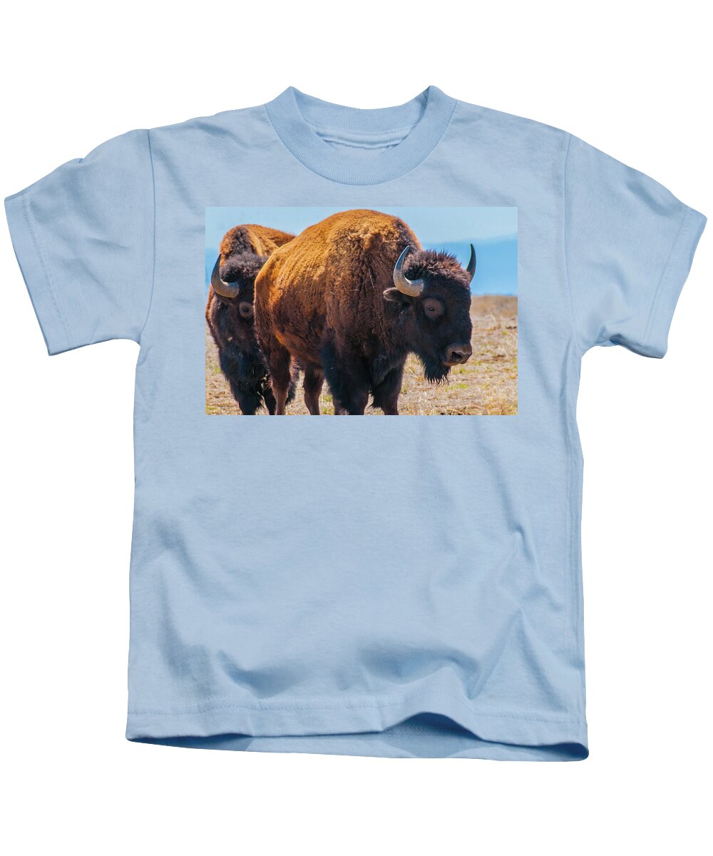 Agriculture Kids T-Shirt featuring the photograph Bison in Field in the Daytime by Tom Potter