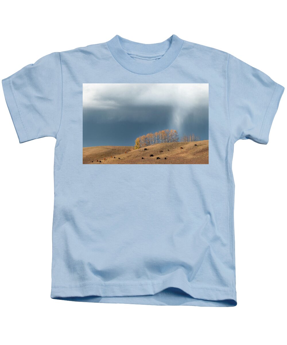 Pasture Kids T-Shirt featuring the photograph Storm over an Alberta fall pasture by Karen Rispin