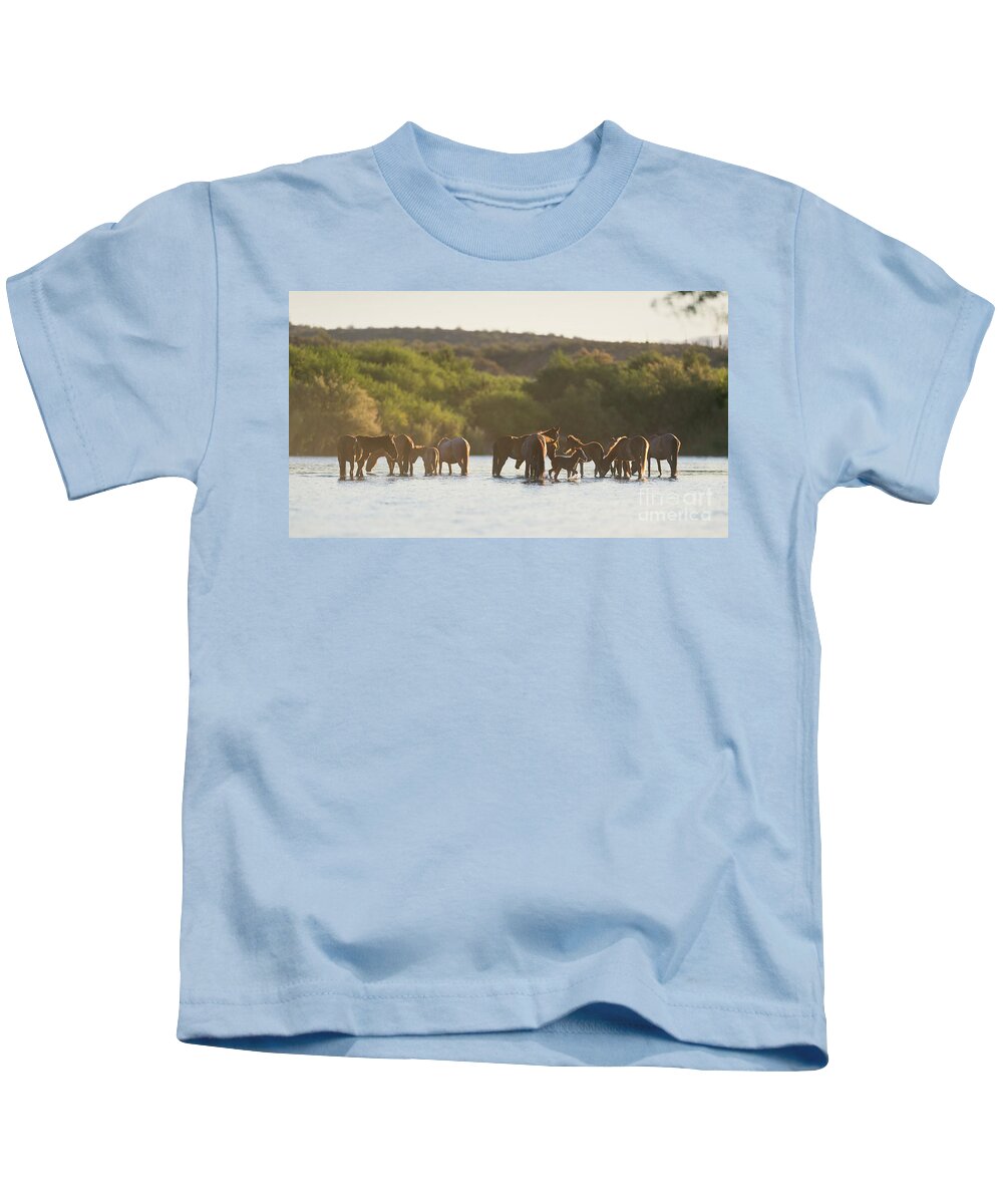 Salt River Wild Horses Kids T-Shirt featuring the photograph The Salt River by Shannon Hastings