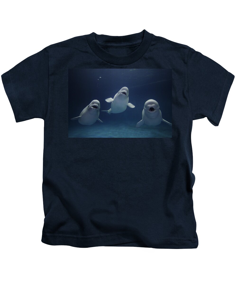 Feb0514 Kids T-Shirt featuring the photograph Beluga Whale Trio by Hiroya Minakuchi