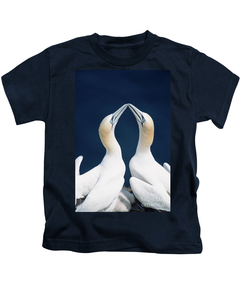 00342365 Kids T-Shirt featuring the photograph Greeting Gannets by Yva Momatiuk John Eastcott