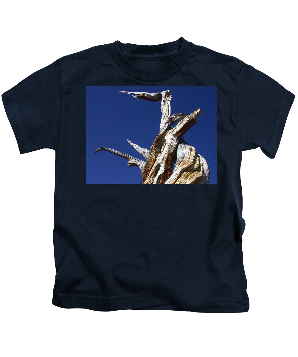 Tree Kids T-Shirt featuring the photograph Reaching Out by Shane Bechler