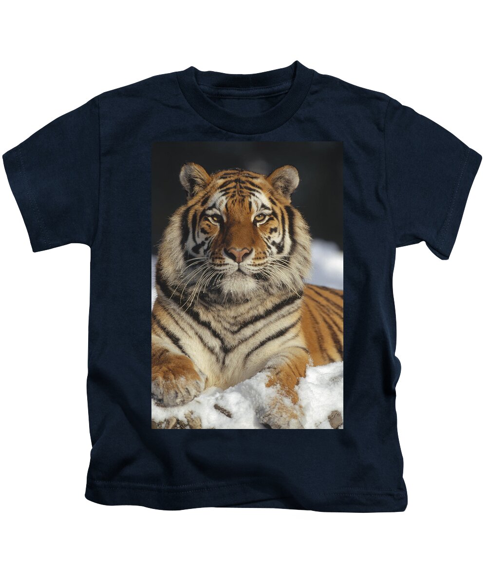 Feb0514 Kids T-Shirt featuring the photograph Siberian Tiger Portrait In Snow China by Konrad Wothe