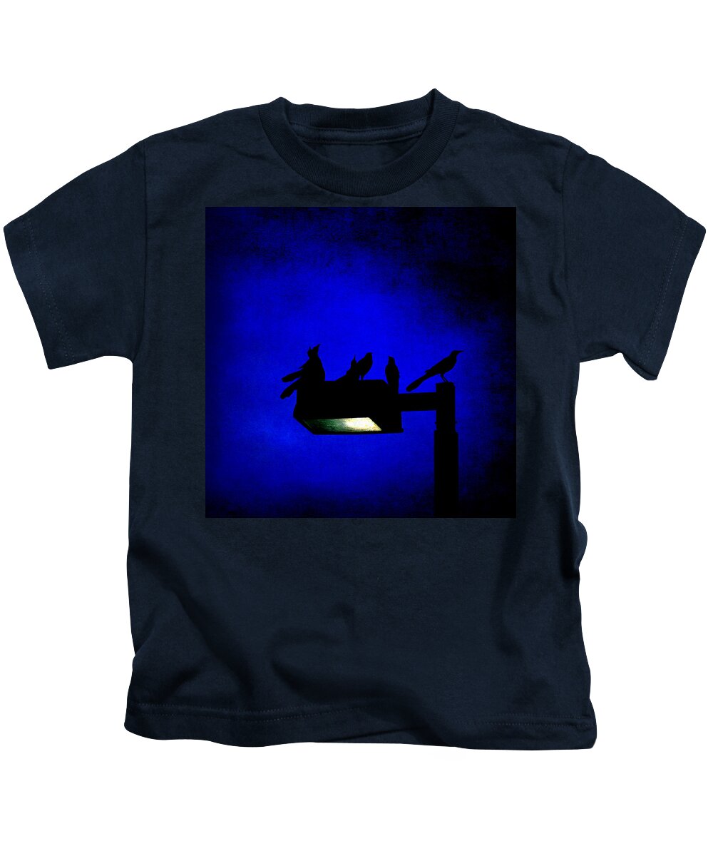 Birds Kids T-Shirt featuring the photograph Sleepless at Midnight by Trish Mistric