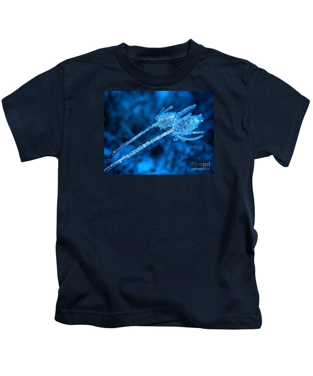 Thistle Kids T-Shirt featuring the photograph Thistle plant on icy night by Les Palenik