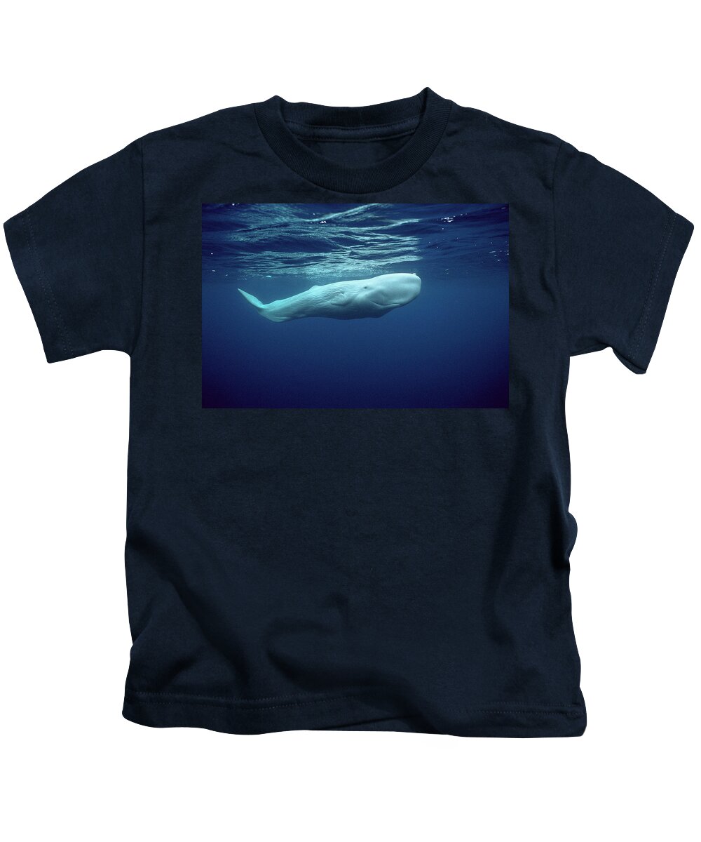 00270023 Kids T-Shirt featuring the photograph White Sperm Whale #2 by Hiroya Minakuchi