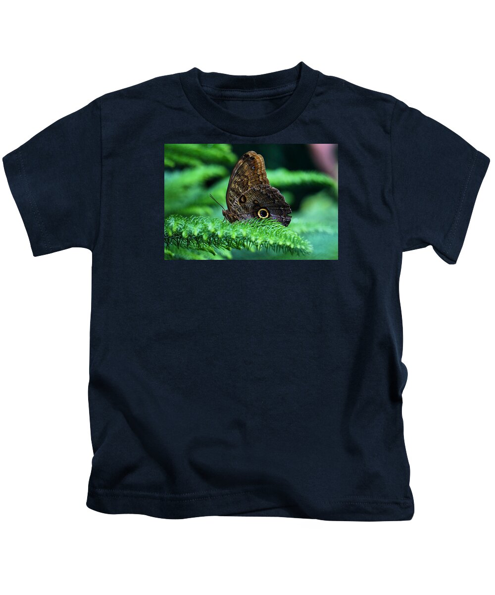Yellow Kids T-Shirt featuring the photograph Beautiful butterfly by Lilia S