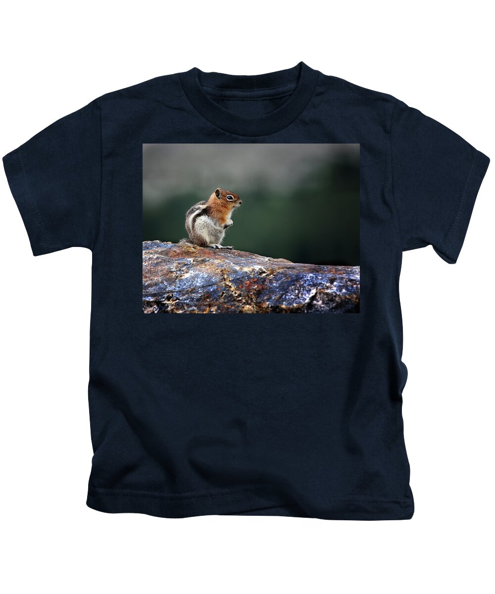 Chipmunk Kids T-Shirt featuring the photograph Little Chipmunk Sitting on a Rock by C VandenBerg