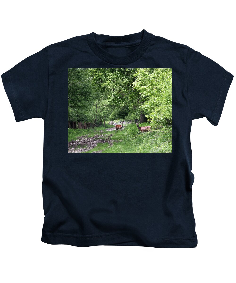 Two Deer Doe In Forest Nature Wildlife Kids T-Shirt by Goce Risteski -  Pixels