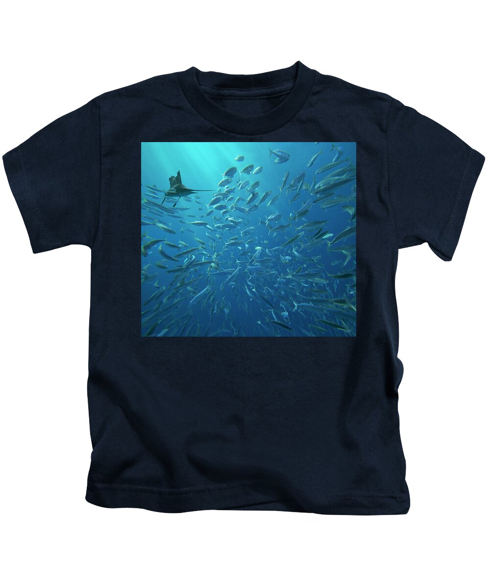 00558736 Kids T-Shirt featuring the photograph Sailfish Hunting Round Sardinella, Isla Mujeres, Mexico #1 by Tim Fitzharris