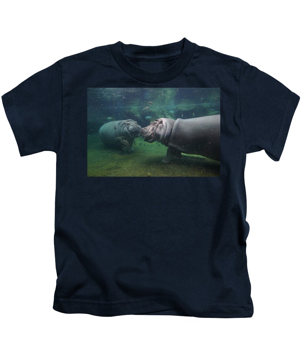 00649958 Kids T-Shirt featuring the photograph Hippos Facing Off by Hiroya Minakuchi
