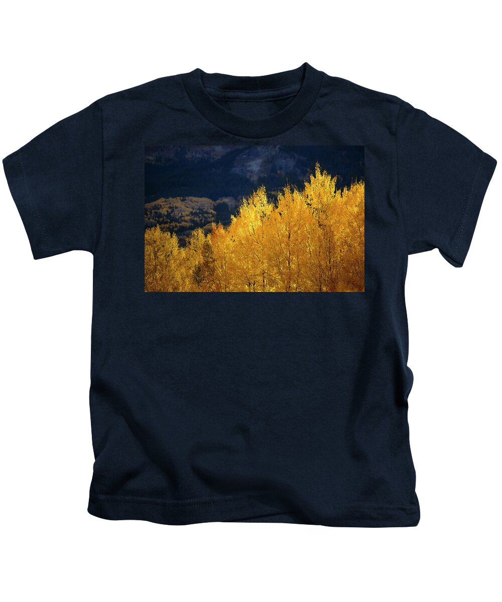 Colorado Kids T-Shirt featuring the photograph Morning Aspens of Gold by James Covello