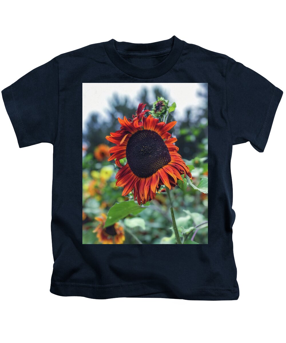 Flower Kids T-Shirt featuring the photograph Red Sunflower by Anamar Pictures
