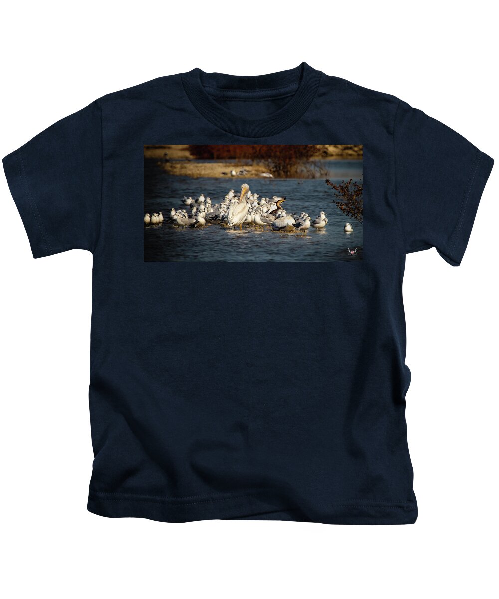 Pelican Kids T-Shirt featuring the photograph Feathered Friends by Pam Rendall