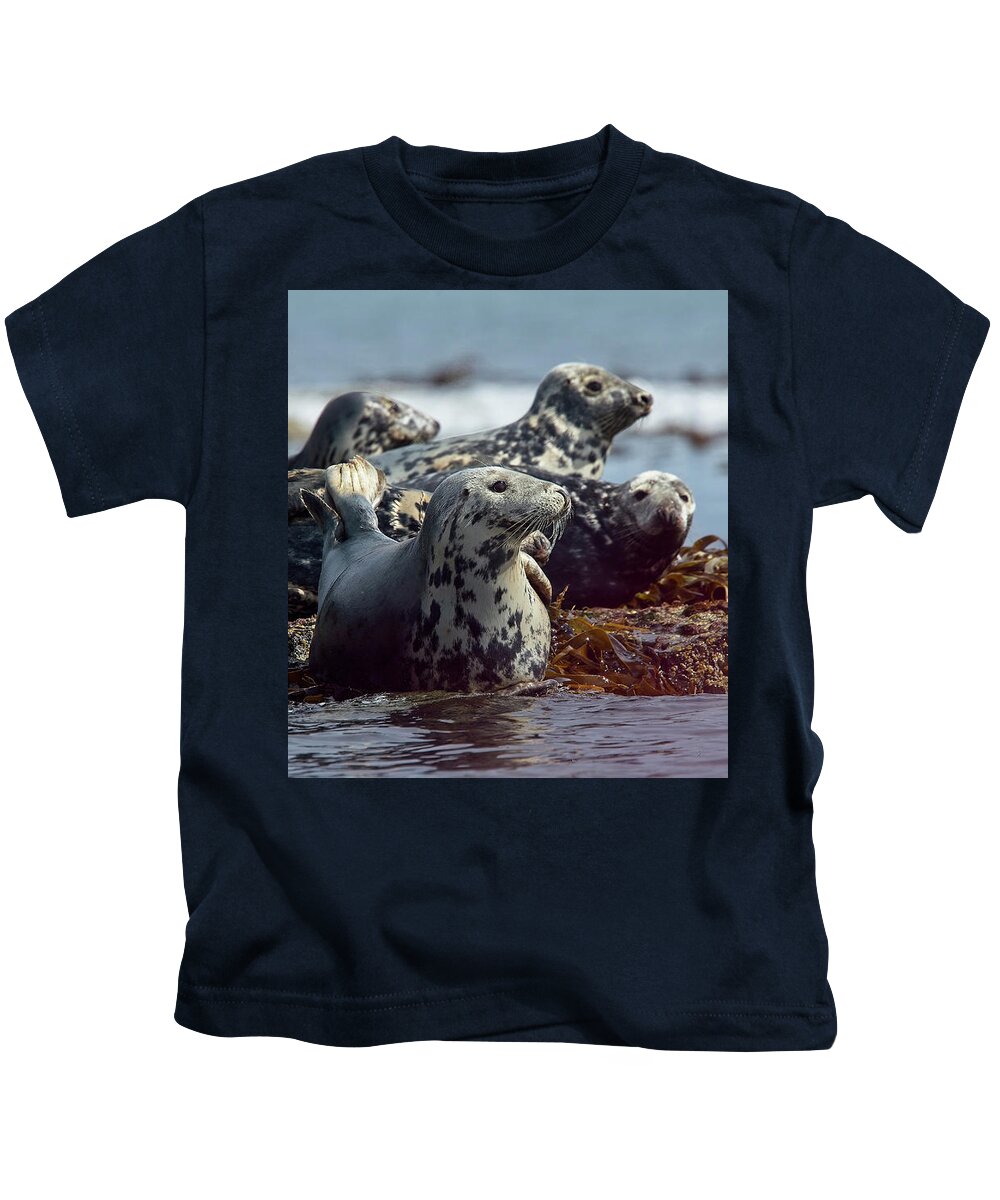 Grey Seal Kids T-Shirt featuring the photograph Grey Seals, Farne Islands, UK. by Tony Mills