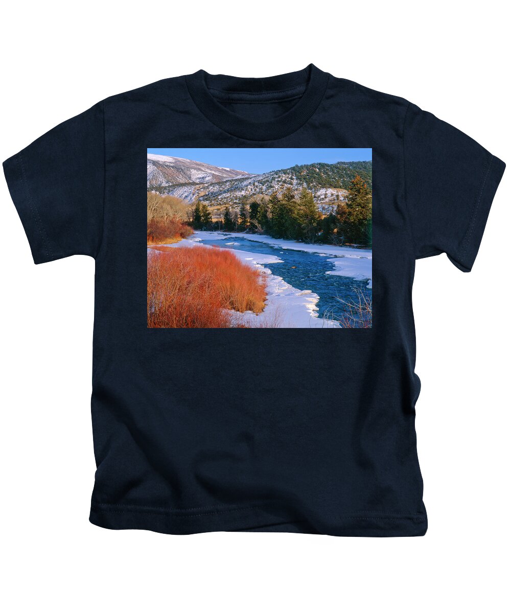 Creek Kids T-Shirt featuring the photograph Winter Willows- Colorado by Mark Miller