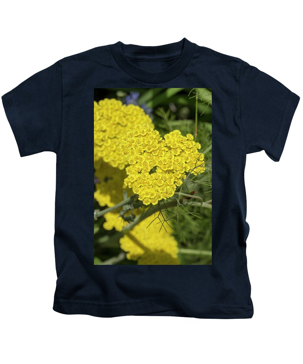 Flower Kids T-Shirt featuring the photograph Yarrow, Coronation Gold by Dawn Cavalieri