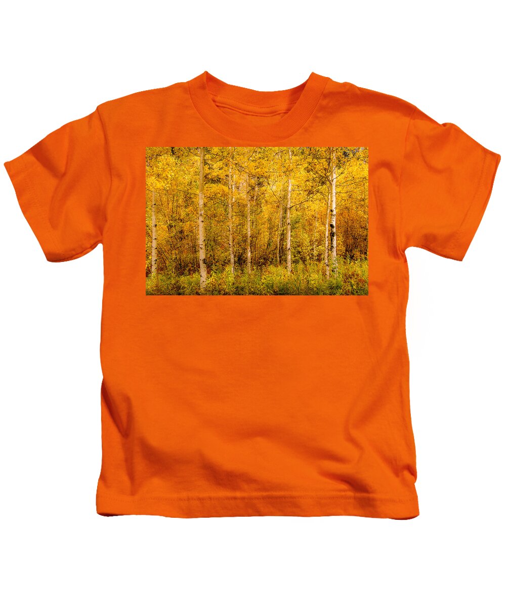 Aspen Kids T-Shirt featuring the photograph Aspens in Autumn by Greni Graph