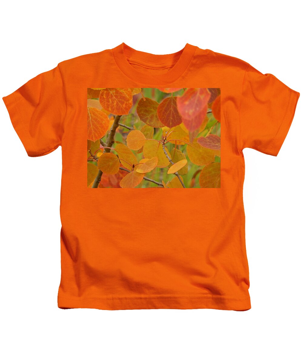 Heather Coen Kids T-Shirt featuring the photograph Autumn Leaves by Heather Coen