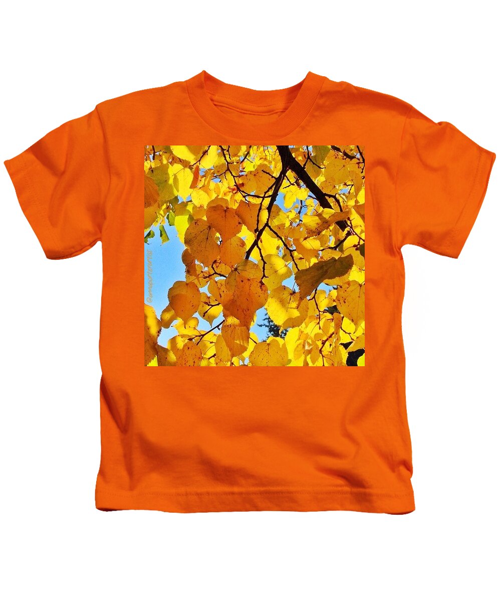 Trees Kids T-Shirt featuring the photograph Autumn Yellows by Anna Porter