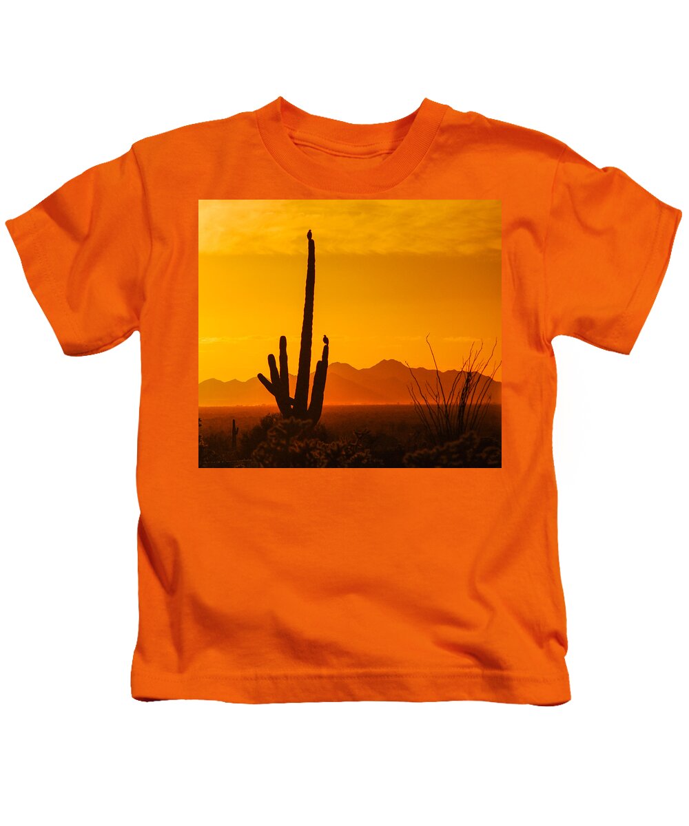 Pennysprints Kids T-Shirt featuring the photograph Birds in Silhouette by Penny Lisowski