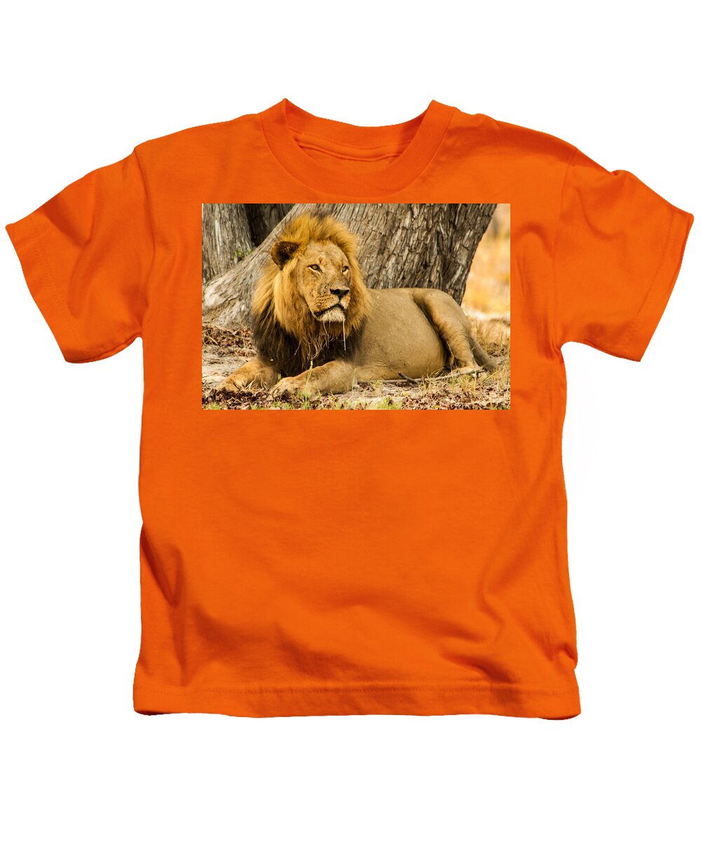 Africa Kids T-Shirt featuring the photograph Boss by Alistair Lyne