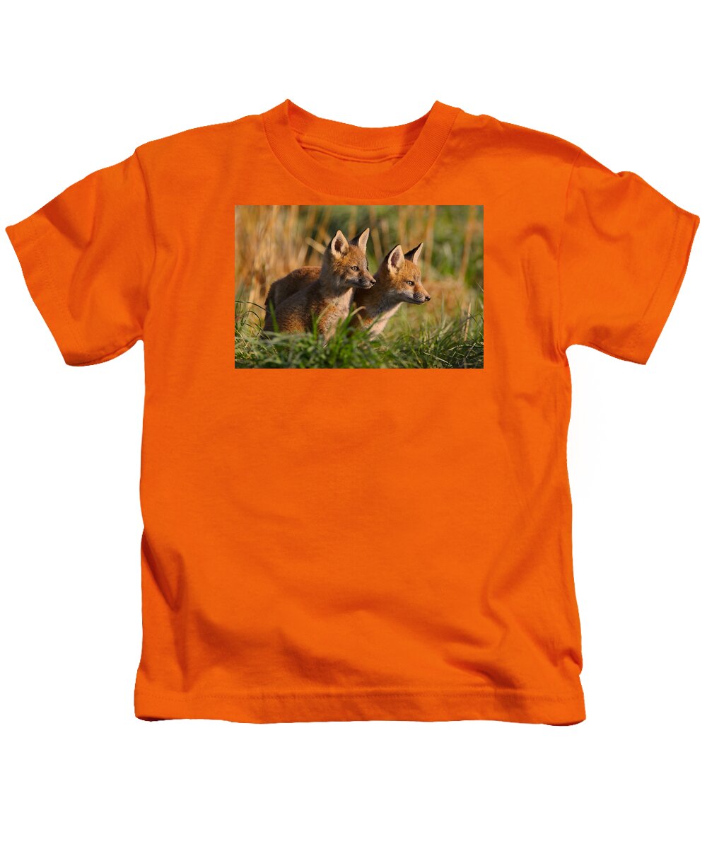 Fox Kids T-Shirt featuring the photograph Fox Cubs at Sunrise by William Jobes