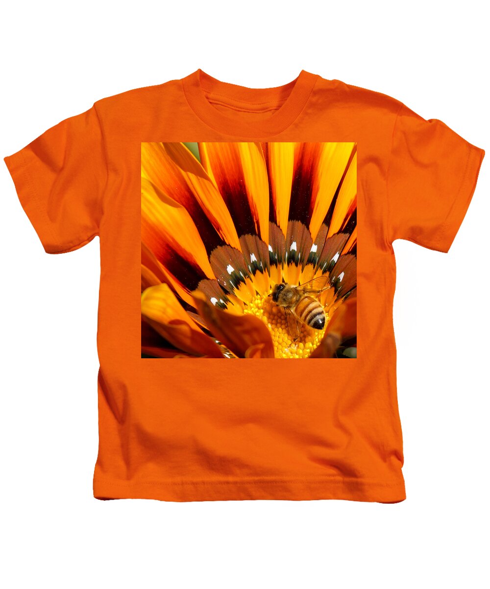 Gazanias Kids T-Shirt featuring the photograph Gazania Pollination by Ernest Echols