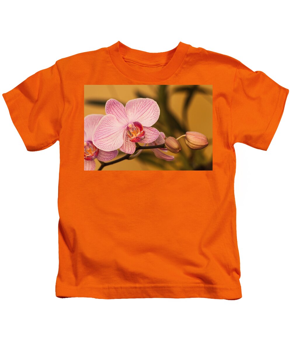 Blossom Kids T-Shirt featuring the photograph Moth Orchid by Ed Gleichman