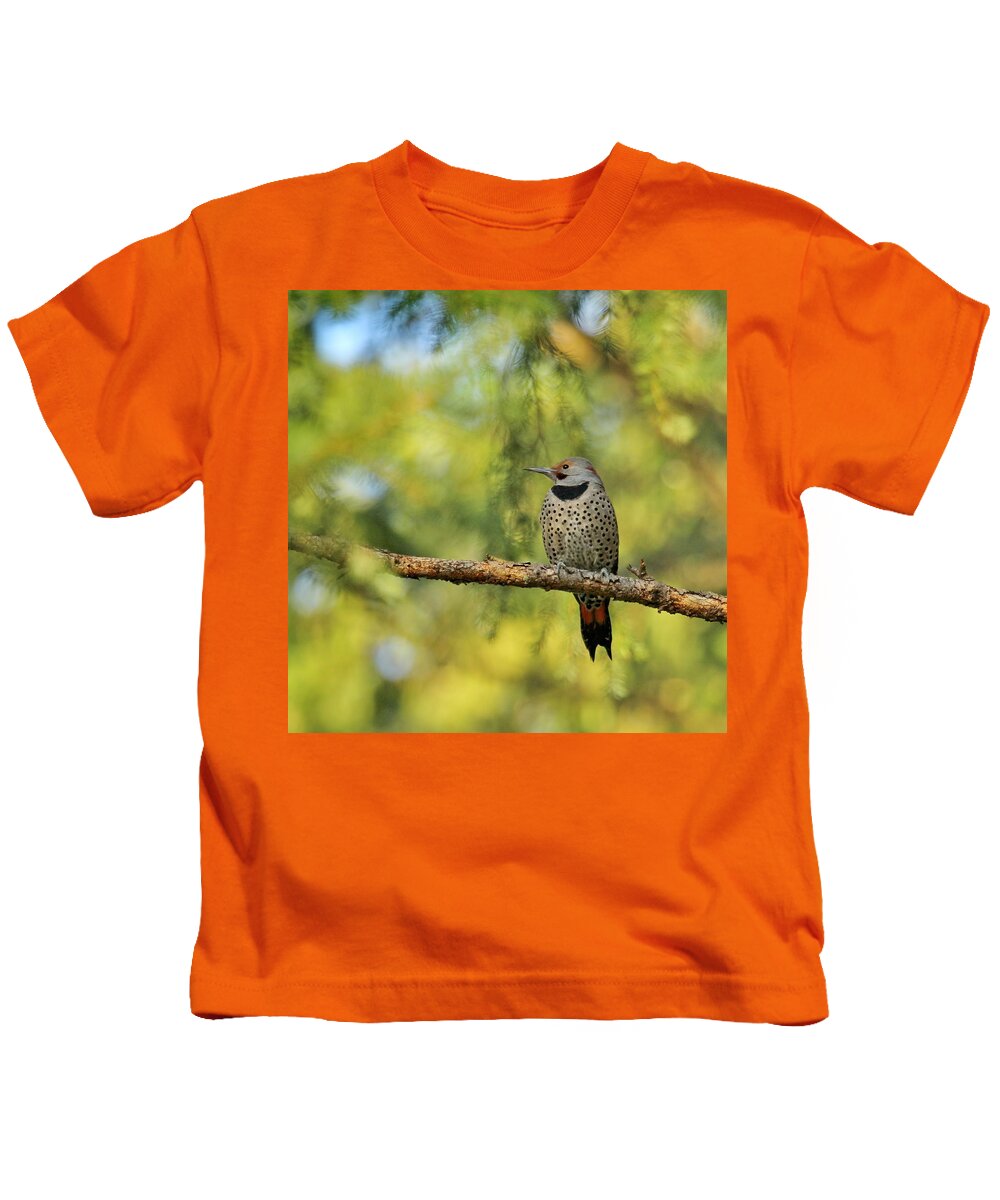 Northern Kids T-Shirt featuring the photograph Northern Flicker by BYET Photography