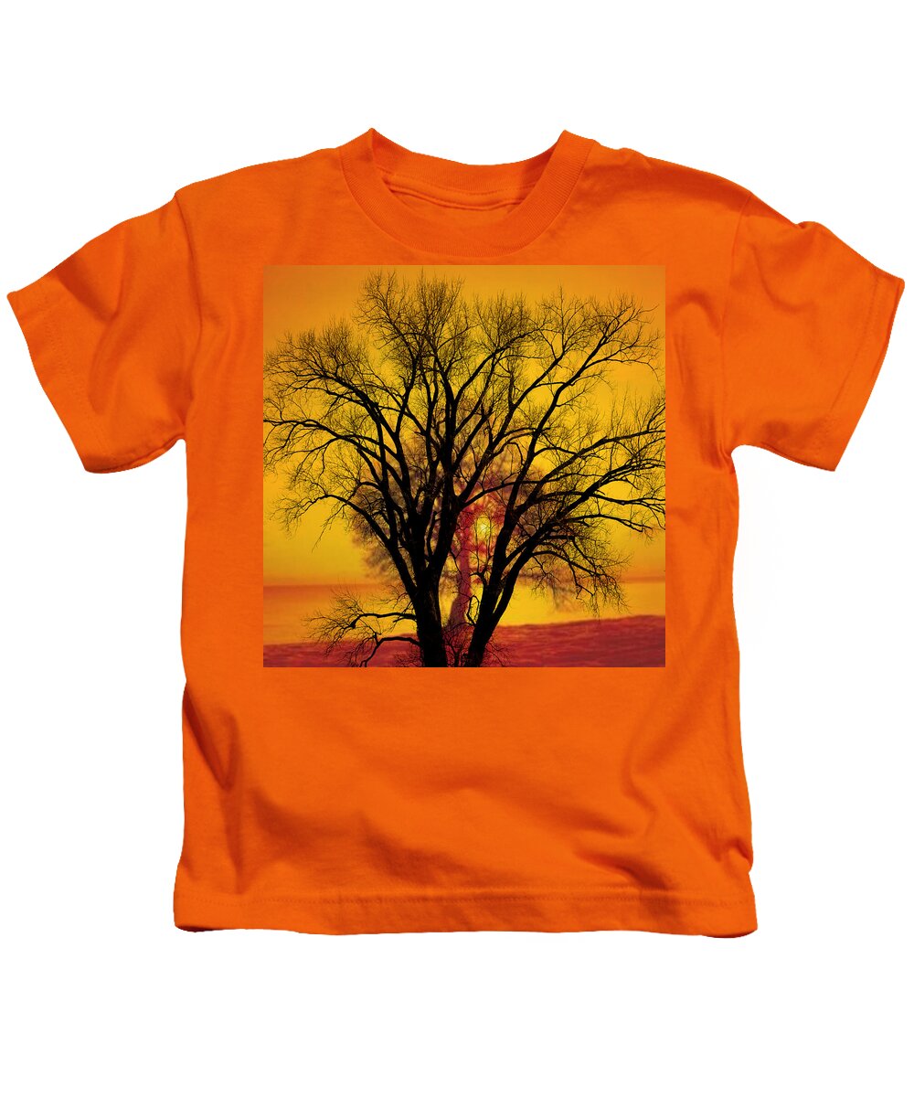 Tree Kids T-Shirt featuring the photograph Trees of Gold by Marty Koch