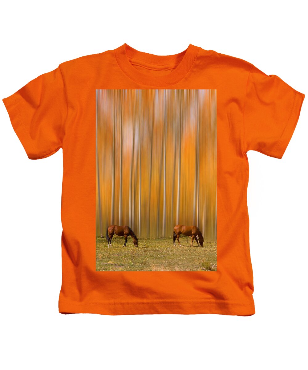 Horse Kids T-Shirt featuring the photograph Two Colorado High Country Mystic Autumn Horses by James BO Insogna