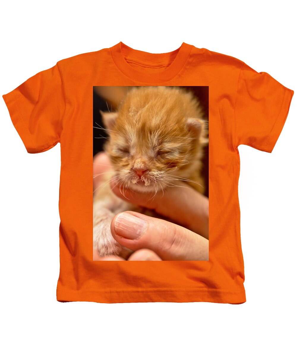 Animal Kids T-Shirt featuring the photograph Kitty #1 by Michael Goyberg