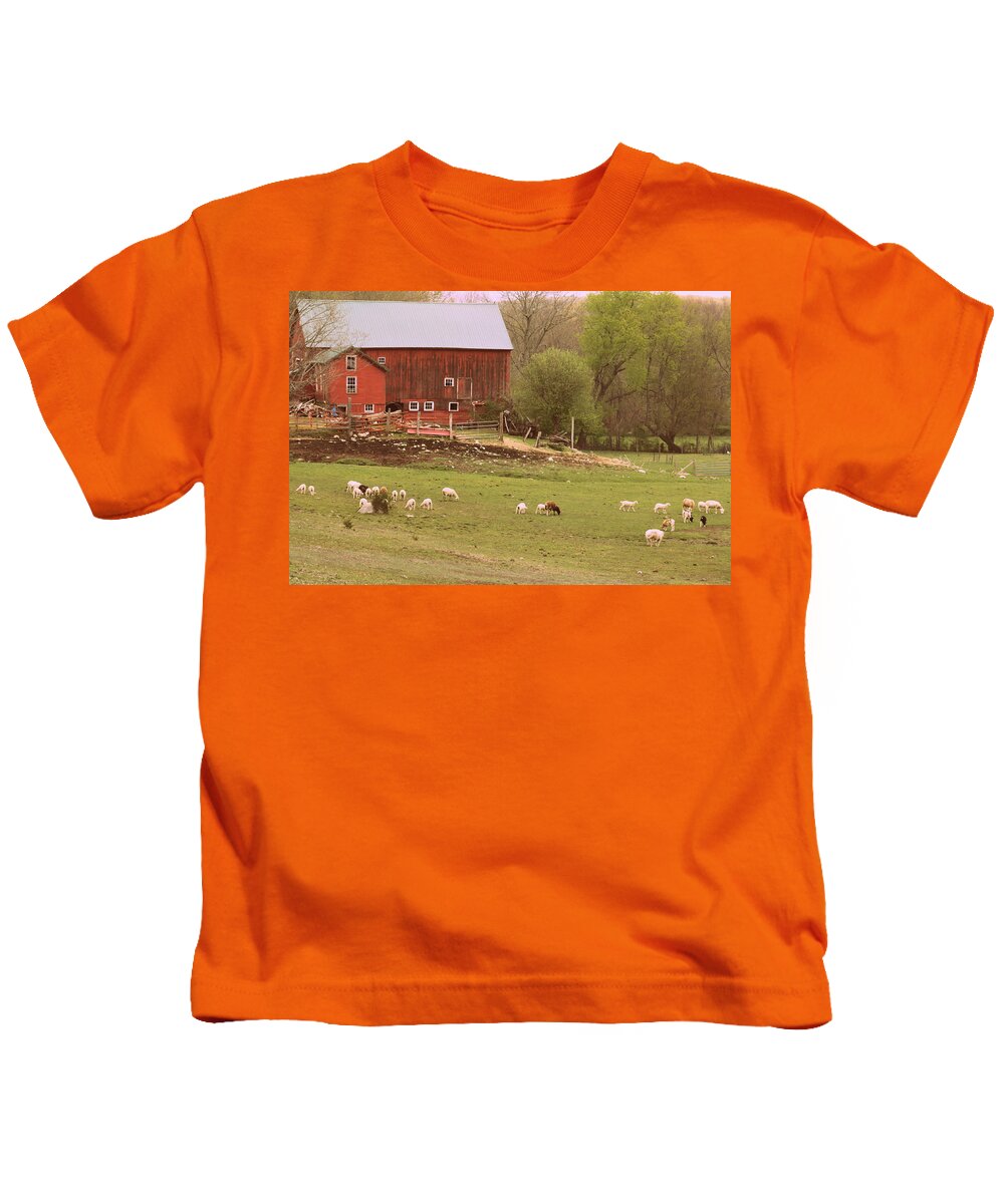 Sheep Farm Kids T-Shirt featuring the photograph Country Scapes in CT USA by Kim Galluzzo