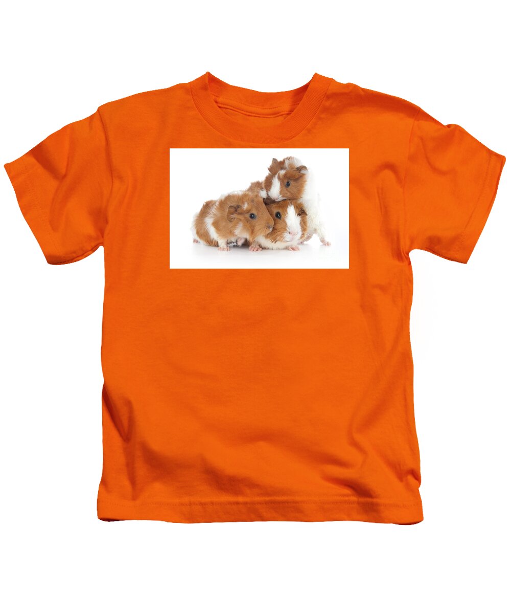 Abyssinian Guinea Pig Kids T-Shirt featuring the photograph Abyssinian Guinea Pig #4 by Anthony Totah