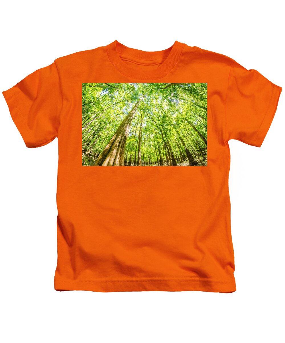 Carolina Kids T-Shirt featuring the photograph cypress forest and swamp of Congaree National Park in South Caro #9 by Alex Grichenko
